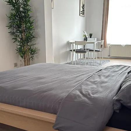 Cosy Renove Au Centre De *