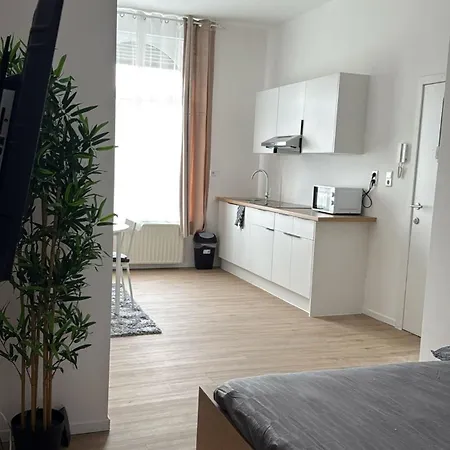 Cosy Renove Au Centre De Liège