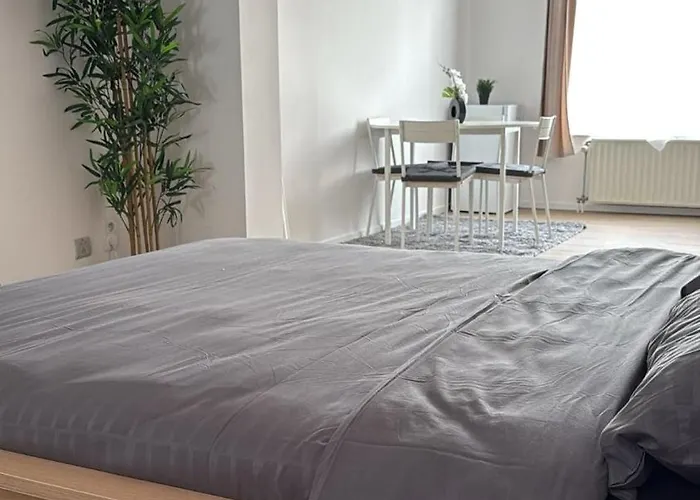 Cosy Renove Au Centre De *