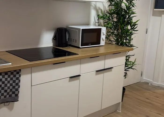 Cosy Renove Au Centre De Liège