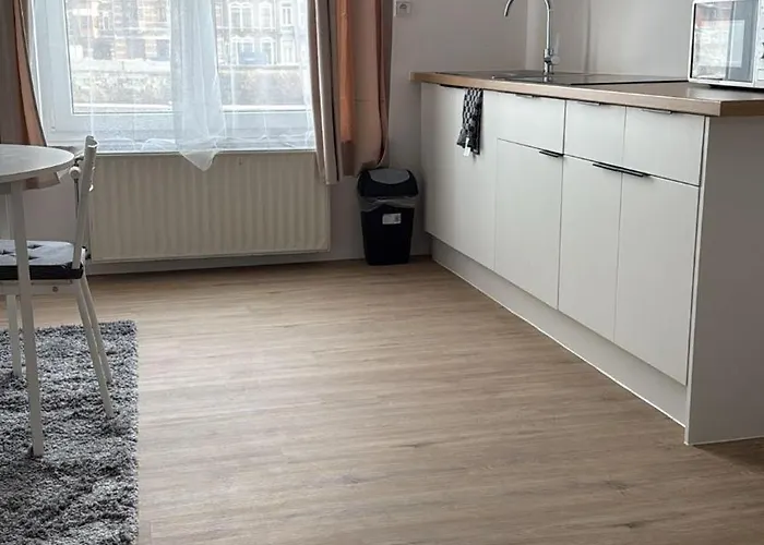 Lägenhet Cosy Renove Au Centre De *