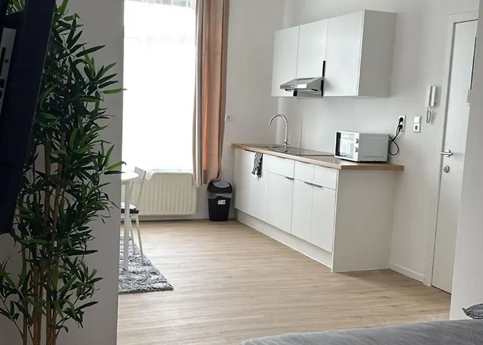 Cosy Renove Au Centre De Liège